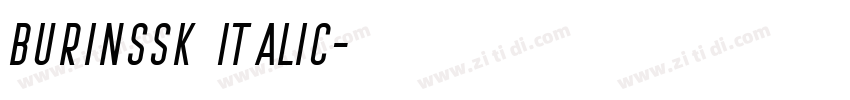 BurinSSK Italic字体转换 BurinSSK Italic字体转换